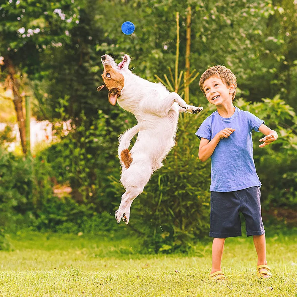 Balle en Caoutchouc pour Chien – Résistante, Lancer & Récupération