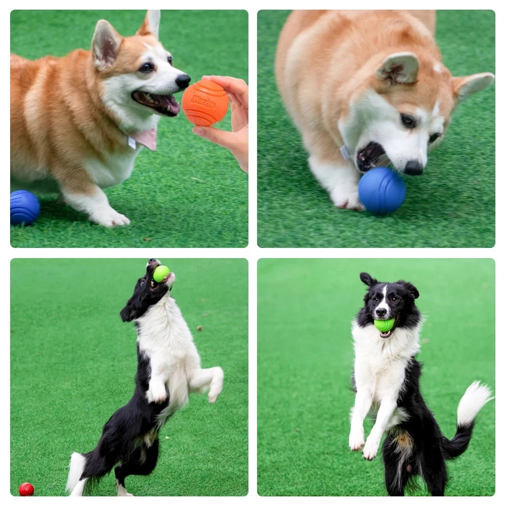 Balle en Caoutchouc pour Chien – Résistante, Lancer & Récupération