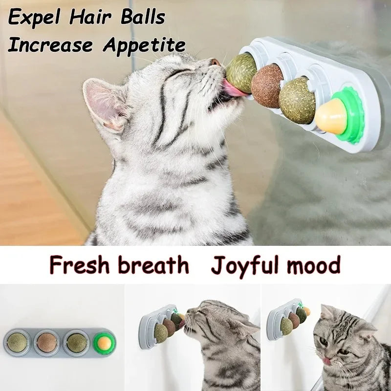 Boule de Vigne Rotative pour Chat — Jouet & Hygiène Dentaire 4-en-1