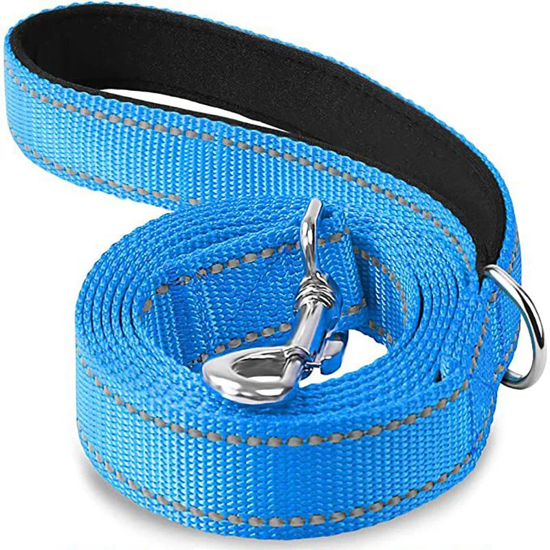 Laisse Réfléchissante pour Chien – Sangle Rembourrée, 12 Couleurs & 3 Longueurs