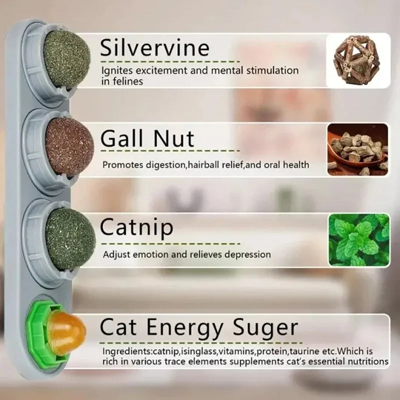 Boule de Vigne Rotative pour Chat — Jouet & Hygiène Dentaire 4-en-1