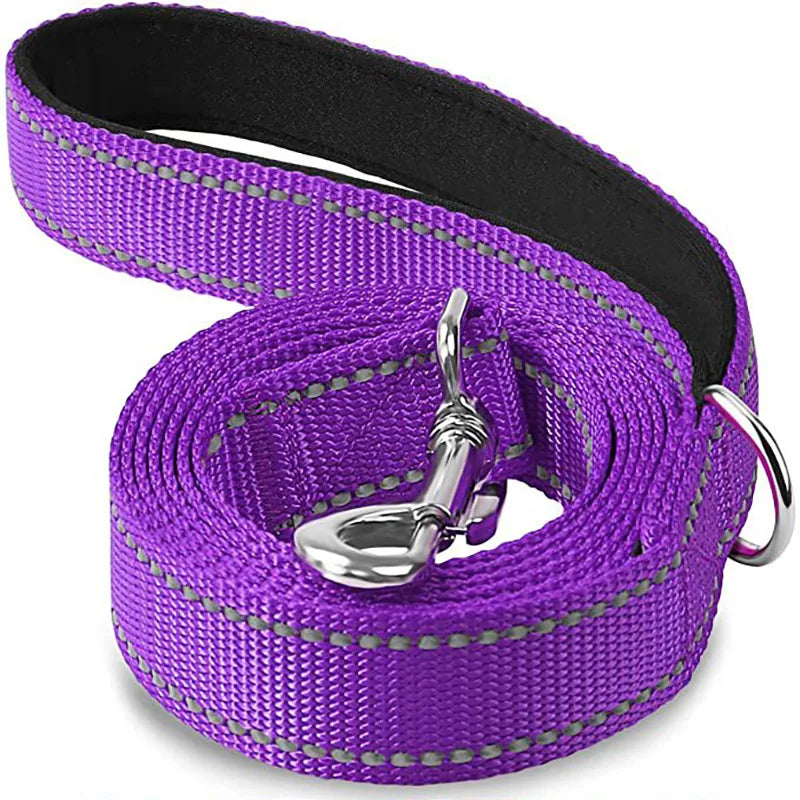 Laisse Réfléchissante pour Chien – Sangle Rembourrée, 12 Couleurs & 3 Longueurs