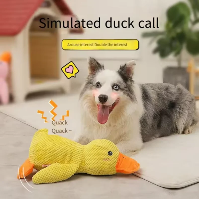 Jouet Canard en Peluche pour Chien – Anti-Ennui, Interactif & Rigolo