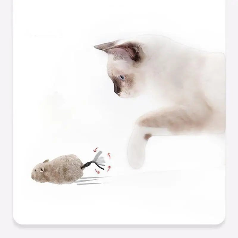 Jouet Souris Réaliste pour Chat — Queue Longue & Peluche