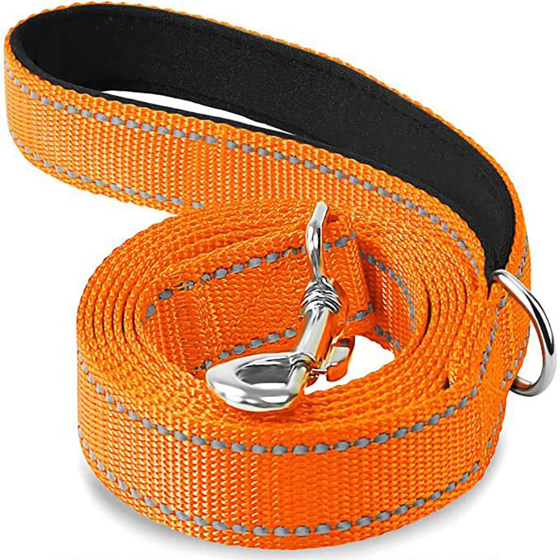Laisse Réfléchissante pour Chien – Sangle Rembourrée, 12 Couleurs & 3 Longueurs