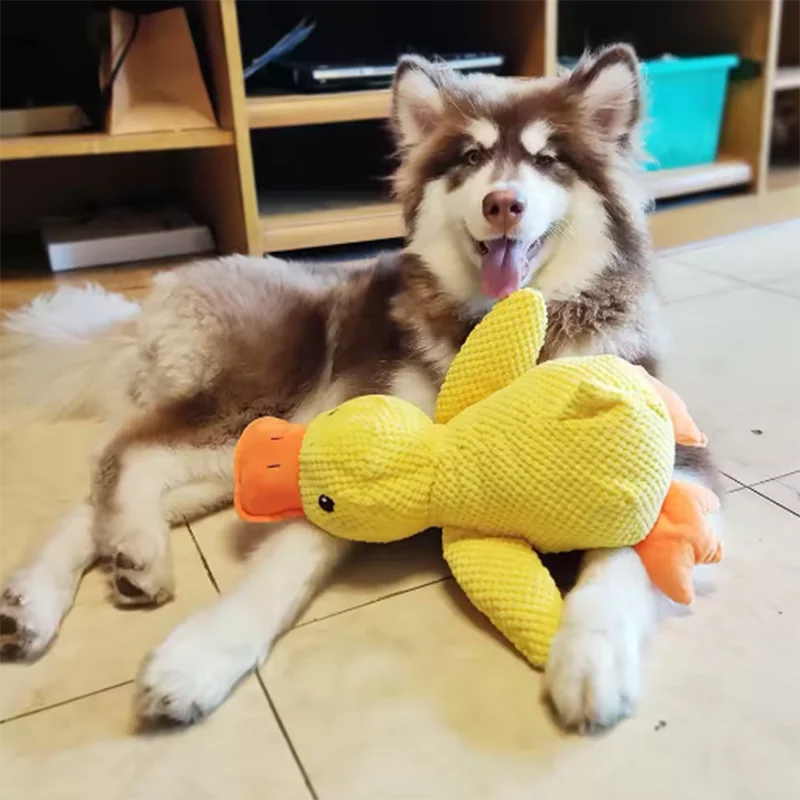Jouet Canard en Peluche pour Chien – Anti-Ennui, Interactif & Rigolo