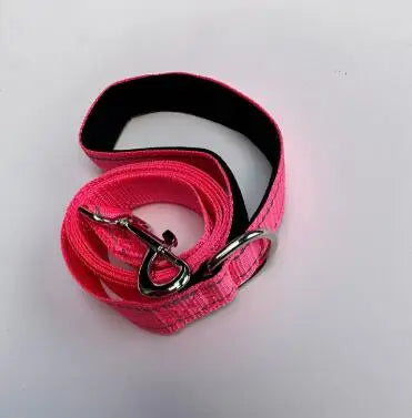 Laisse Réfléchissante pour Chien – Sangle Rembourrée, 12 Couleurs & 3 Longueurs