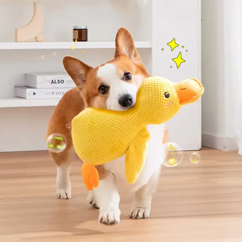 Jouet Canard en Peluche pour Chien – Anti-Ennui, Interactif & Rigolo