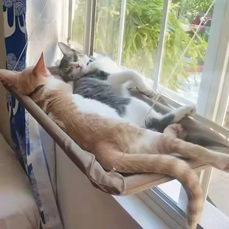 Hamac Suspendu pour Chat — Ventouses & Gain de Place