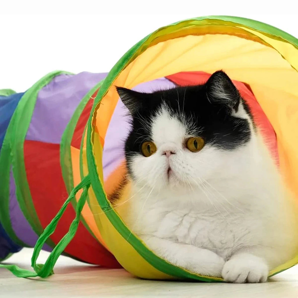 Tunnel Arc-en-Ciel pour Chat — Jeu Interactif Pliable