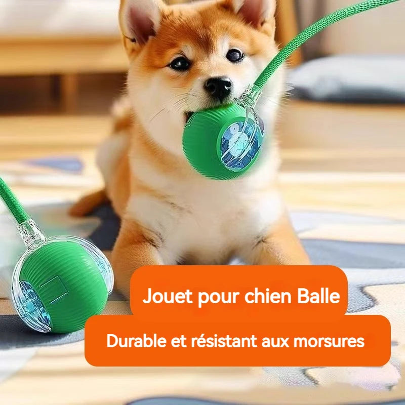 Balle Interactive Automatique pour Chien – Rechargeable, Nouvelle Version 2026