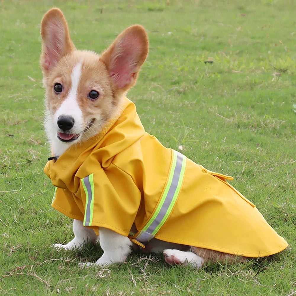 Imperméable pour Chien — Coupe-Vent Réfléchissant Toutes Tailles