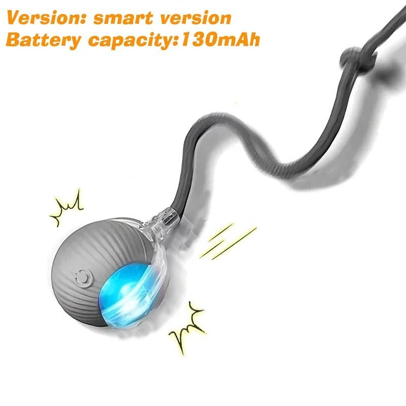 Balle Interactive Automatique pour Chien – Rechargeable, Nouvelle Version 2026