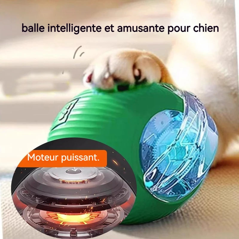 Balle Interactive Automatique pour Chien – Rechargeable, Nouvelle Version 2026