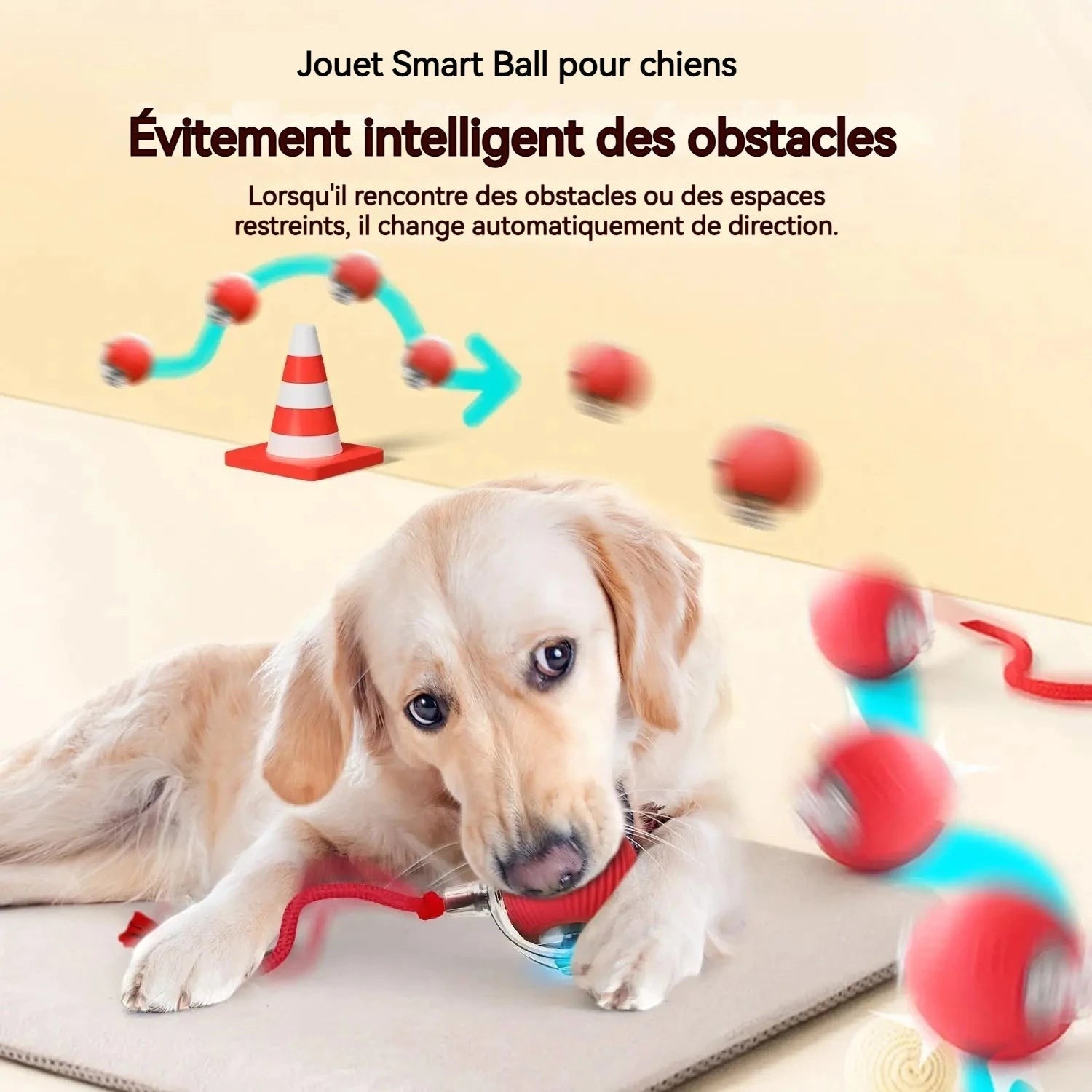 Balle Interactive Automatique pour Chien – Rechargeable, Nouvelle Version 2026