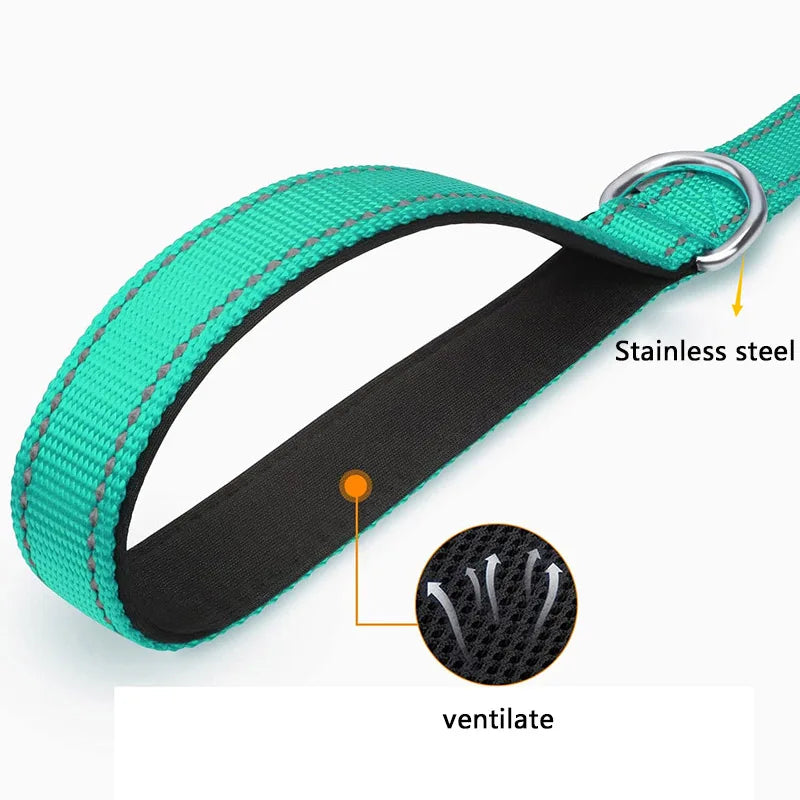 Laisse Réfléchissante pour Chien – Sangle Rembourrée, 12 Couleurs & 3 Longueurs