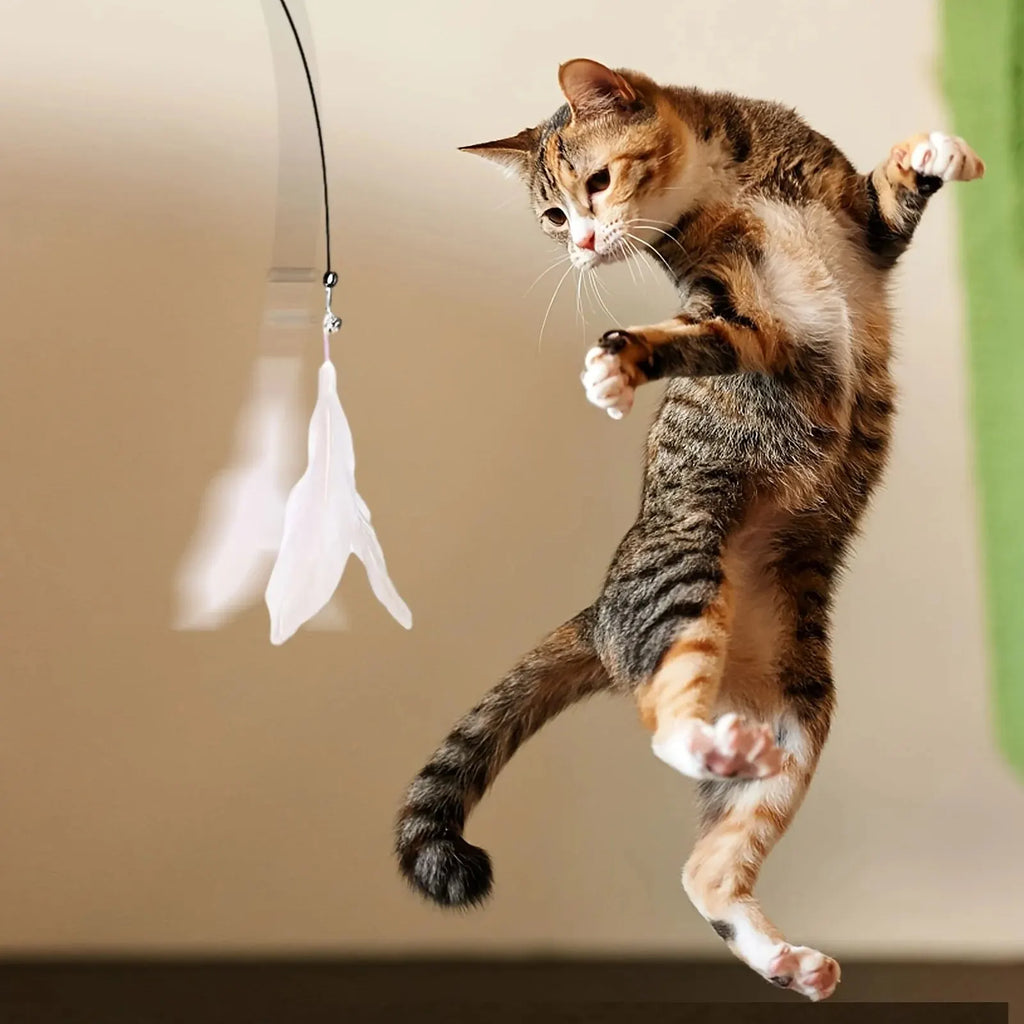 Canne à Pêche Interactive pour Chat — Plumes & Ventouse