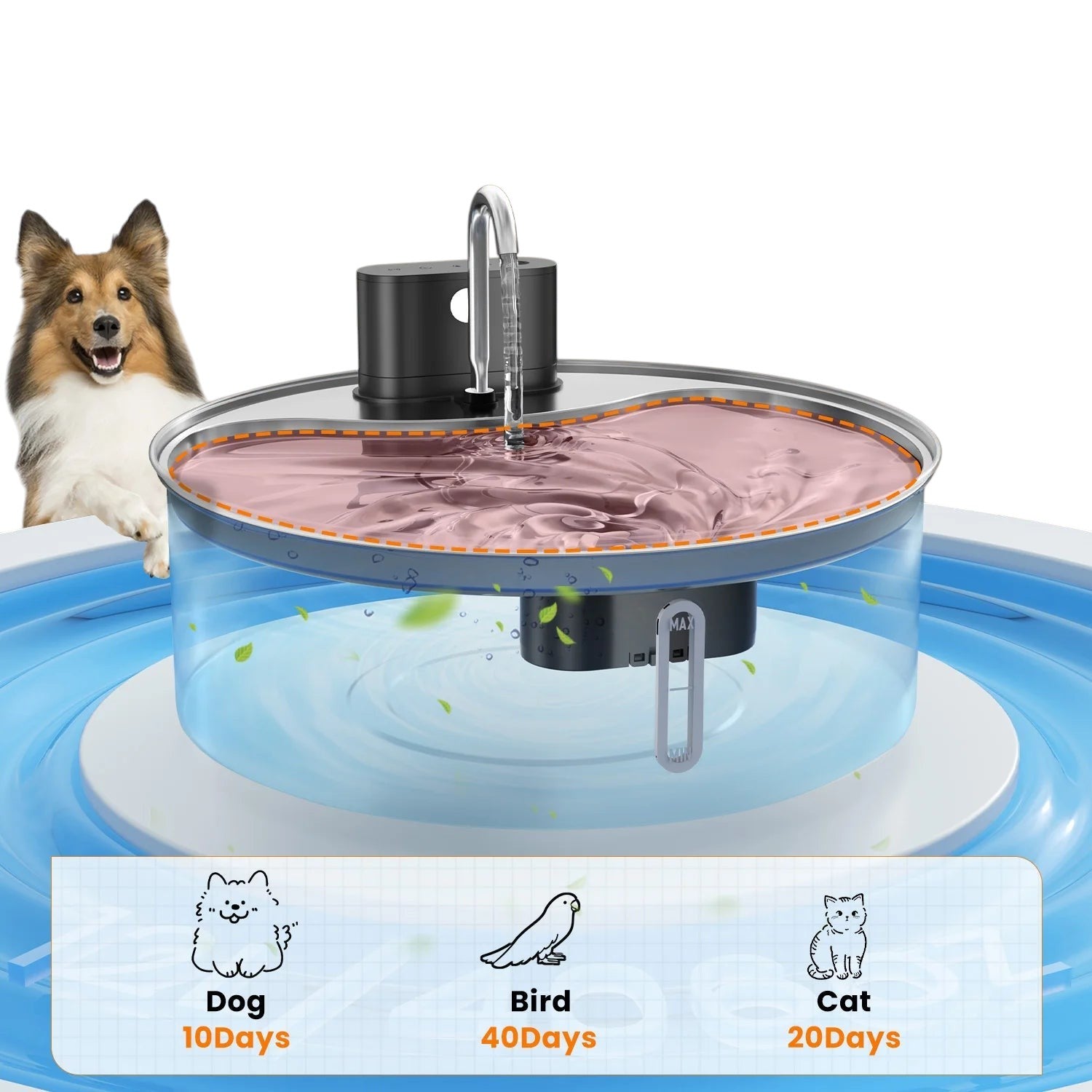 Fontaine à Eau pour Chat & Chien — Inox 12L avec Détecteur de Mouvement