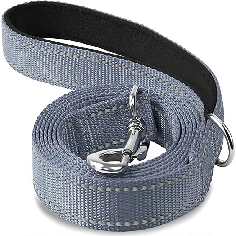 Laisse Réfléchissante pour Chien – Sangle Rembourrée, 12 Couleurs & 3 Longueurs