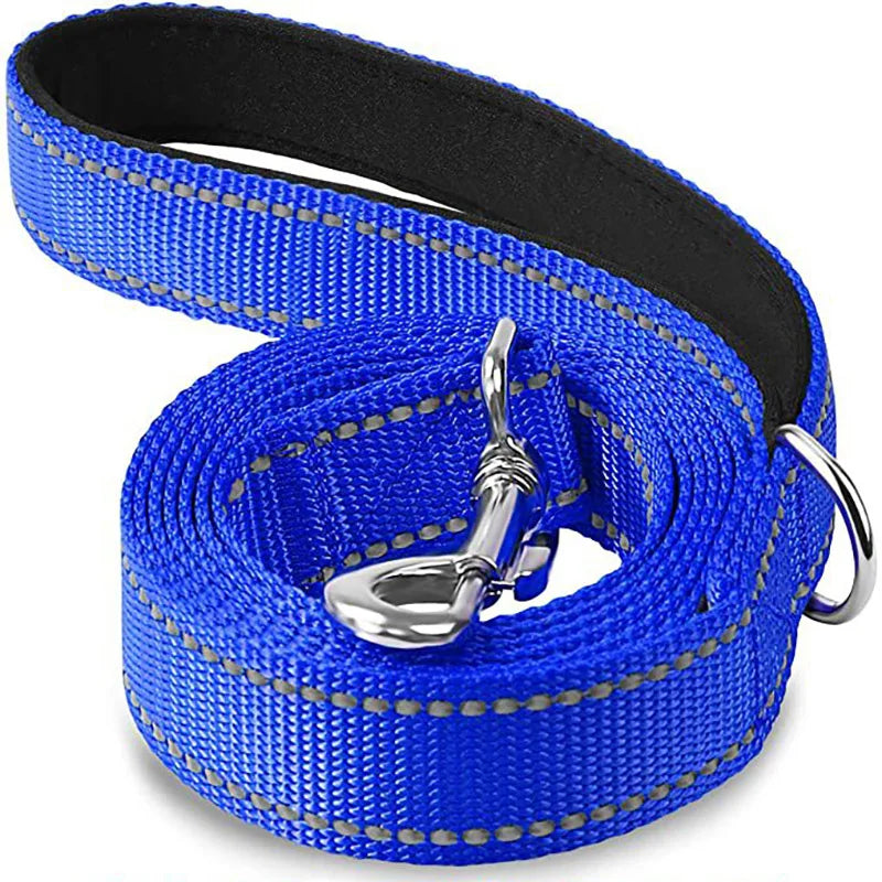 Laisse Réfléchissante pour Chien – Sangle Rembourrée, 12 Couleurs & 3 Longueurs