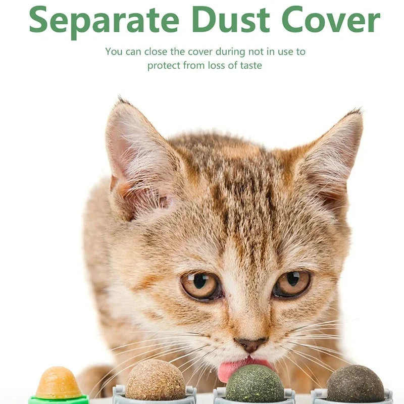 Boule de Vigne Rotative pour Chat — Jouet & Hygiène Dentaire 4-en-1