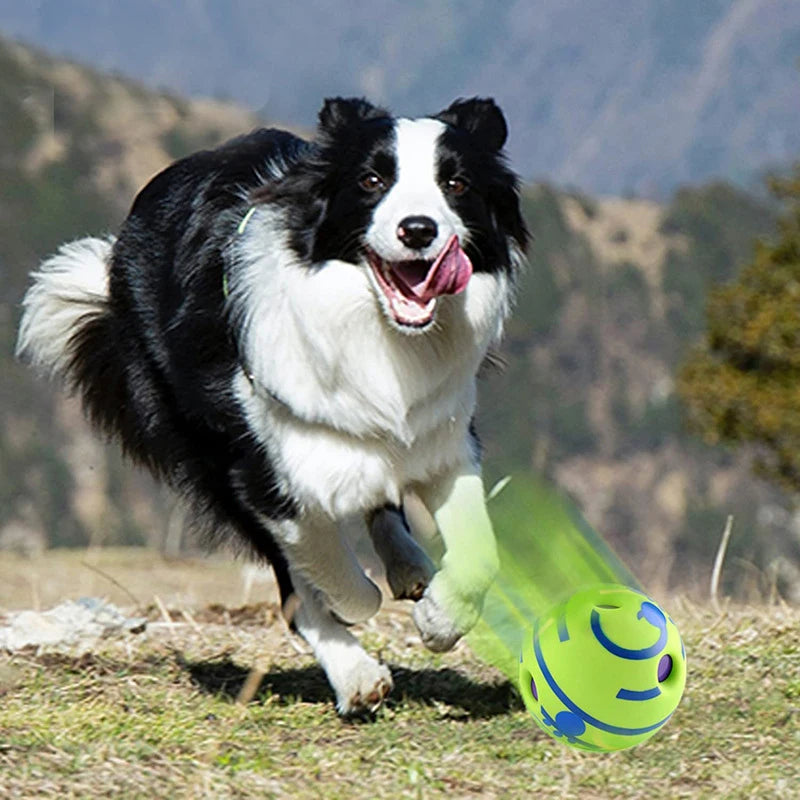Balle Rigolote Wobble Wag pour Chien – Sons Amusants, Sans Batterie