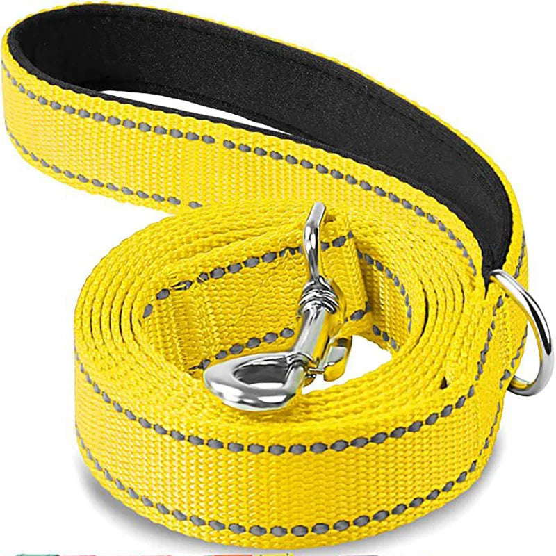 Laisse Réfléchissante pour Chien – Sangle Rembourrée, 12 Couleurs & 3 Longueurs