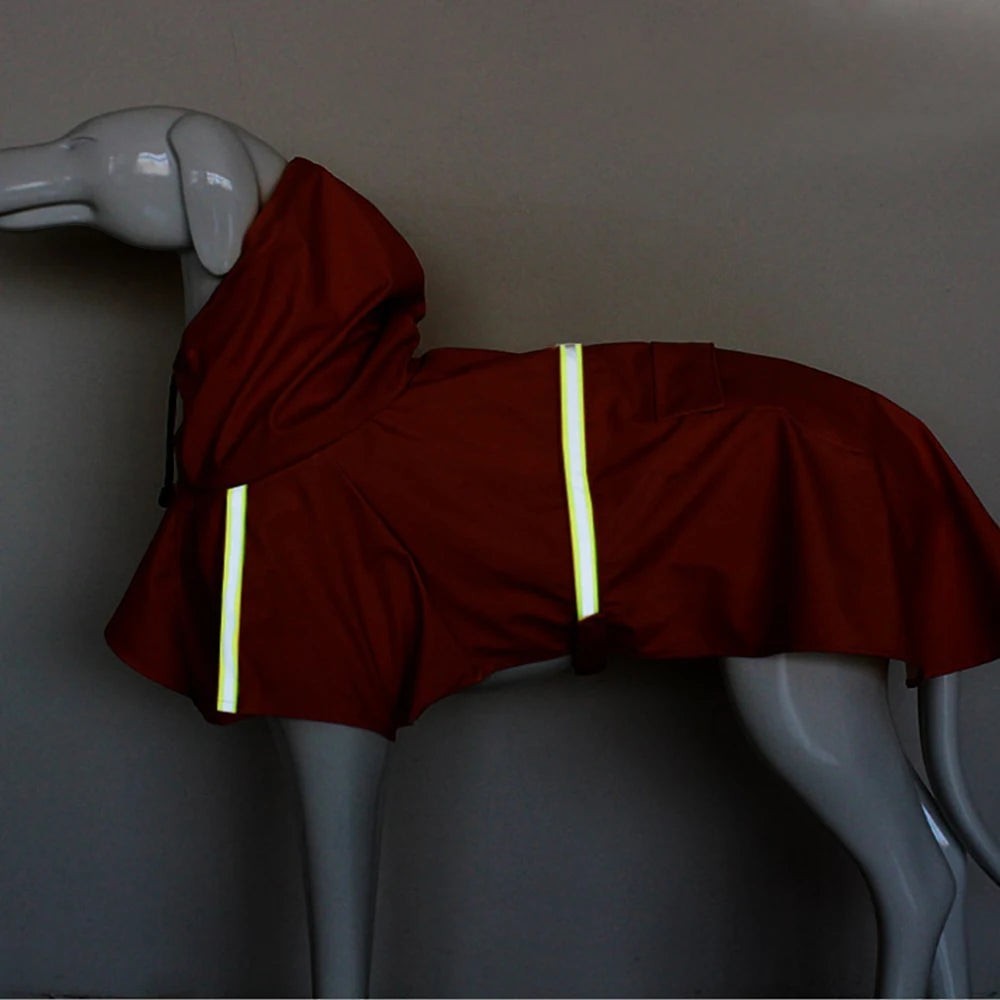 Imperméable pour Chien — Coupe-Vent Réfléchissant Toutes Tailles