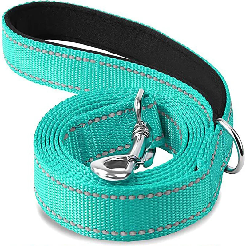Laisse Réfléchissante pour Chien – Sangle Rembourrée, 12 Couleurs & 3 Longueurs