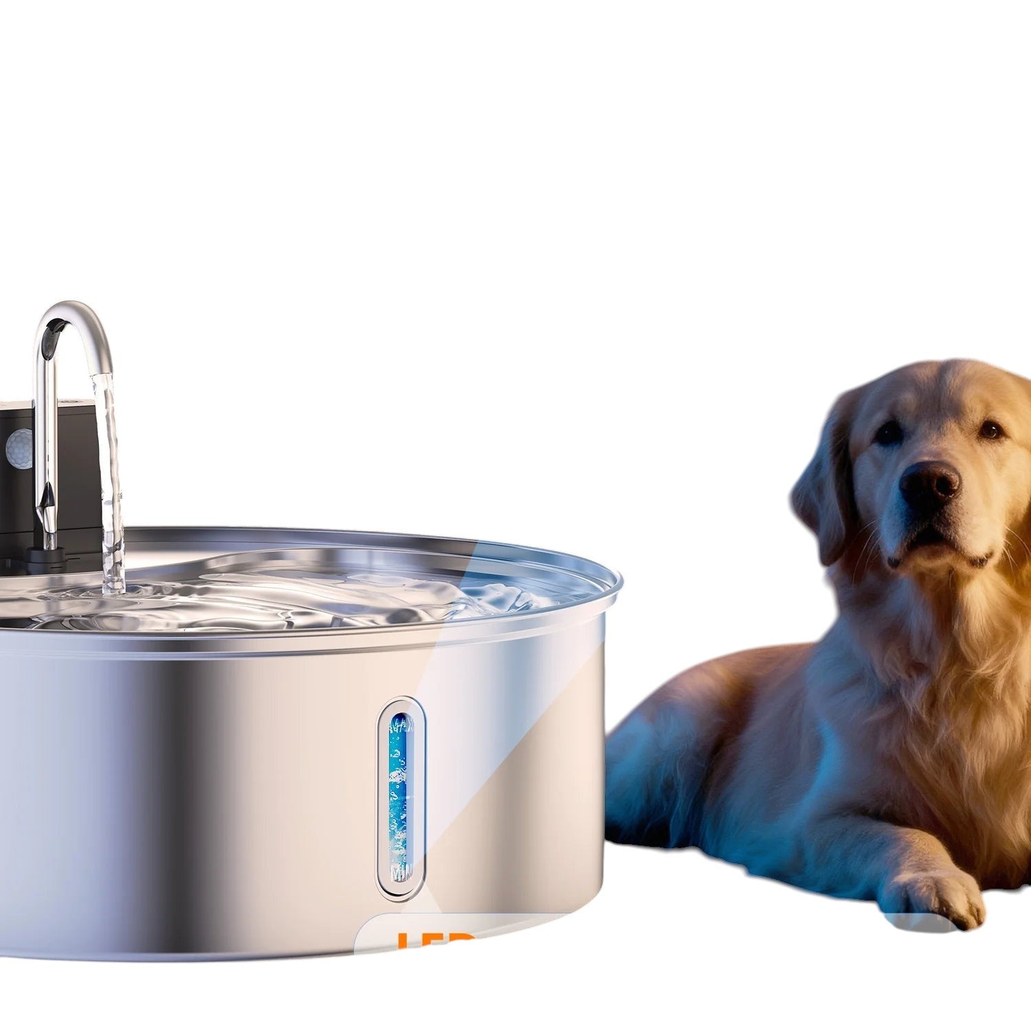 Fontaine à Eau pour Chat & Chien — Inox 12L avec Détecteur de Mouvement
