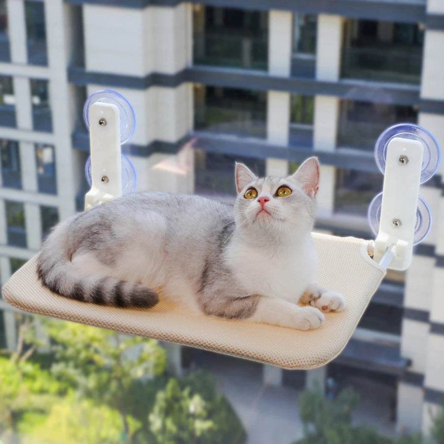 Hamac Fenêtre pour Chat — Fixation Ventouse Sans Montage