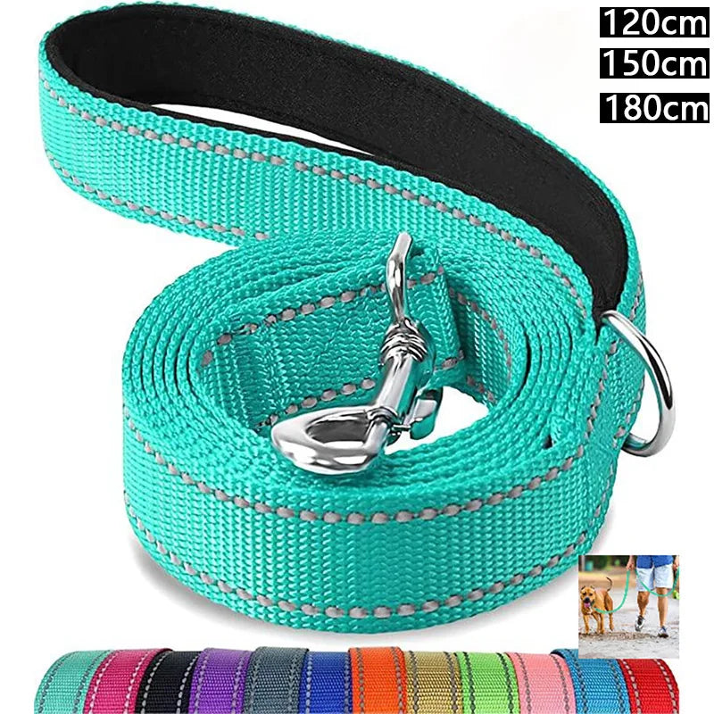 Laisse Réfléchissante pour Chien – Sangle Rembourrée, 12 Couleurs & 3 Longueurs