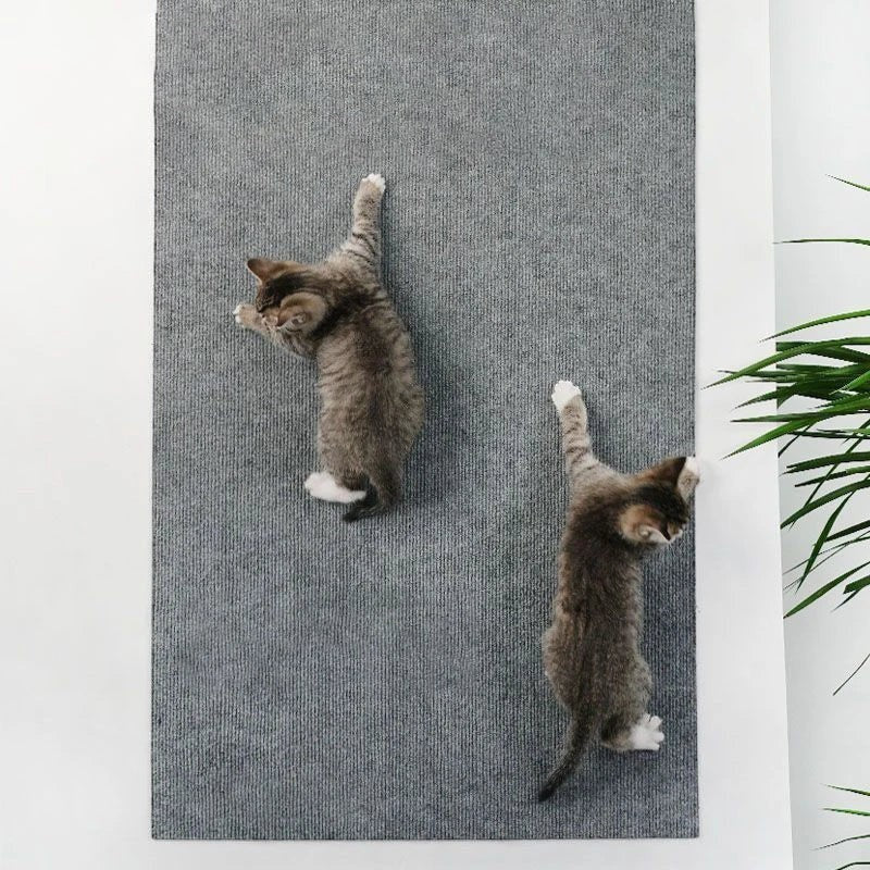 Tapis Griffoir Adhésif pour Chat — Protection Canapé & Meubles