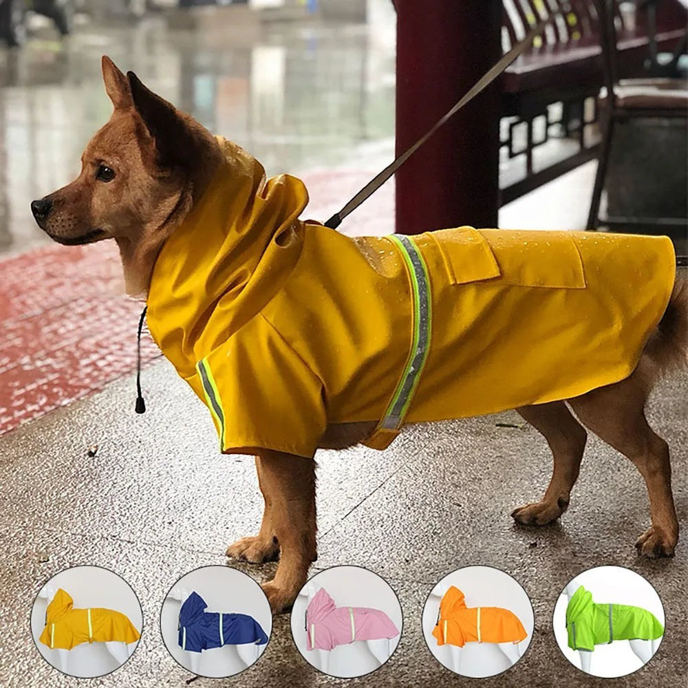 Imperméable pour Chien — Coupe-Vent Réfléchissant Toutes Tailles