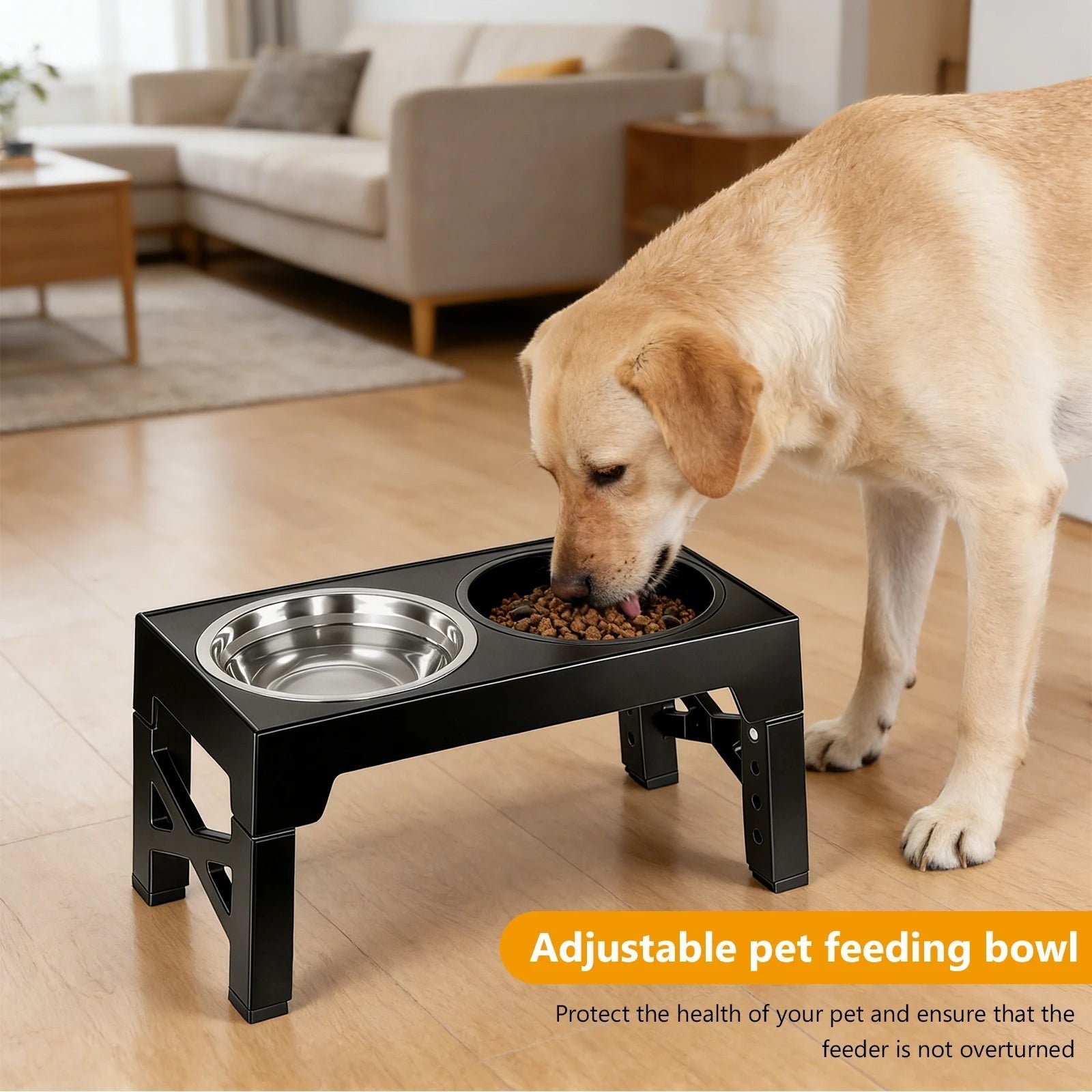 Gamelle Surélevée Réglable pour Chien – 5 Hauteurs | Lot de 3 Bols (Inox + Anti-Glouton)