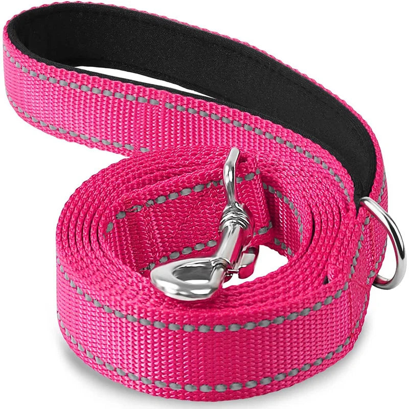 Laisse Réfléchissante pour Chien – Sangle Rembourrée, 12 Couleurs & 3 Longueurs
