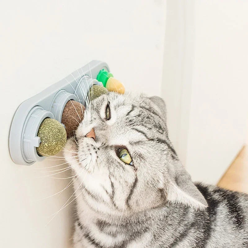 Boule de Vigne Rotative pour Chat — Jouet & Hygiène Dentaire 4-en-1