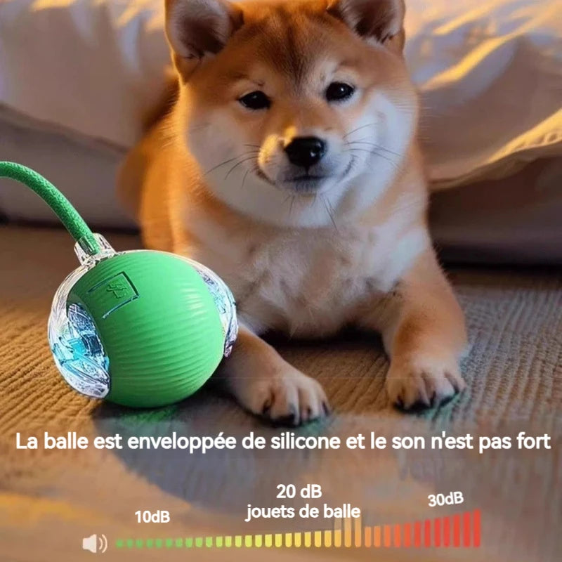 Balle Interactive Automatique pour Chien – Rechargeable, Nouvelle Version 2026
