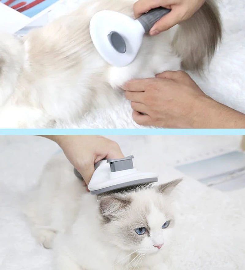 Brosse Autonettoyante pour Chat & Chien — Peigne Inox Professionnel