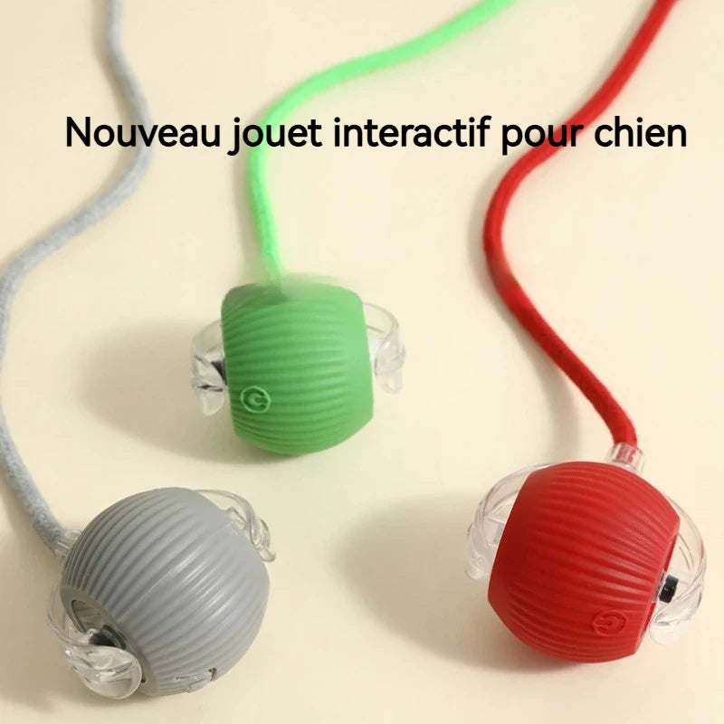 Balle Interactive Automatique pour Chien – Rechargeable, Nouvelle Version 2026