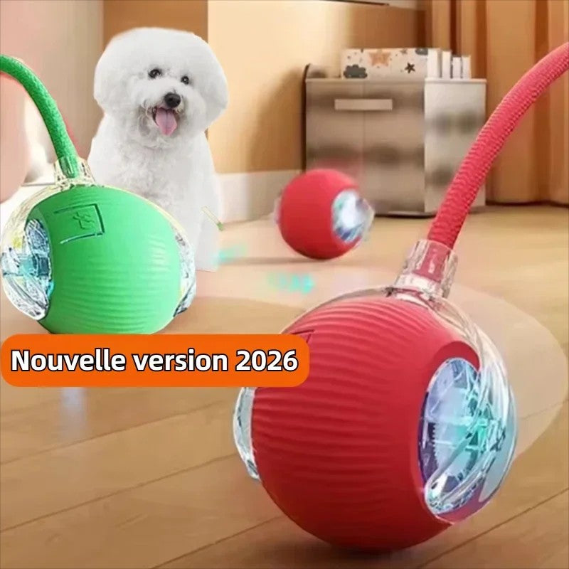 Balle Interactive Automatique pour Chien – Rechargeable, Nouvelle Version 2026