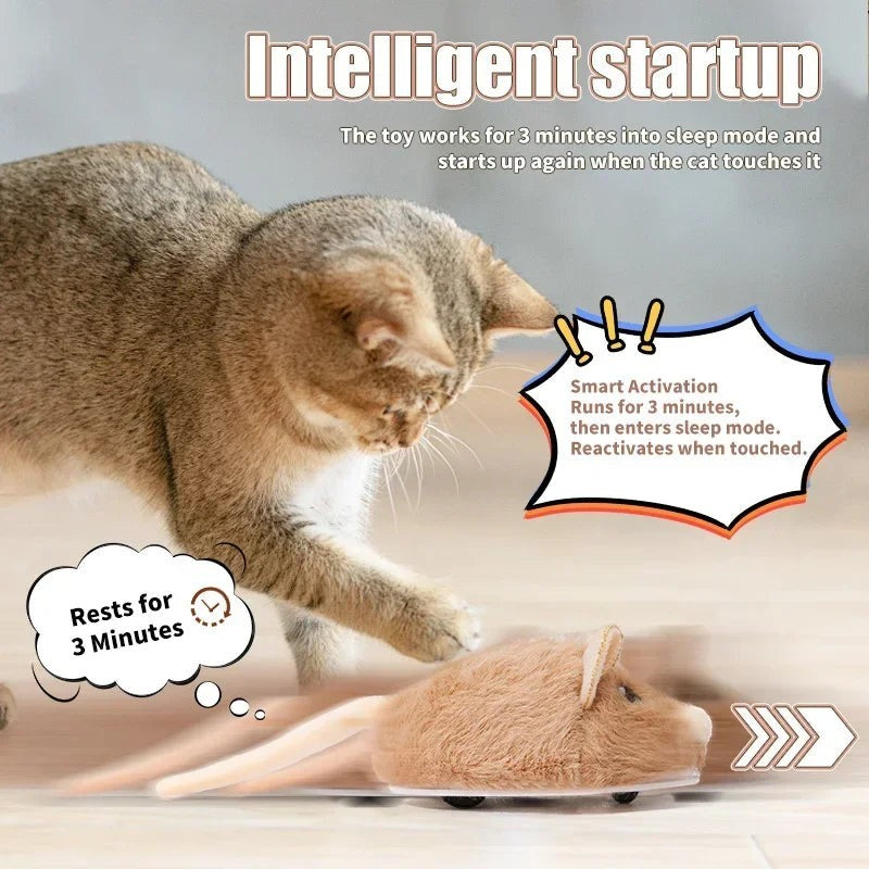 Souris Électrique Interactive pour Chat — Intelligent Pet Toy