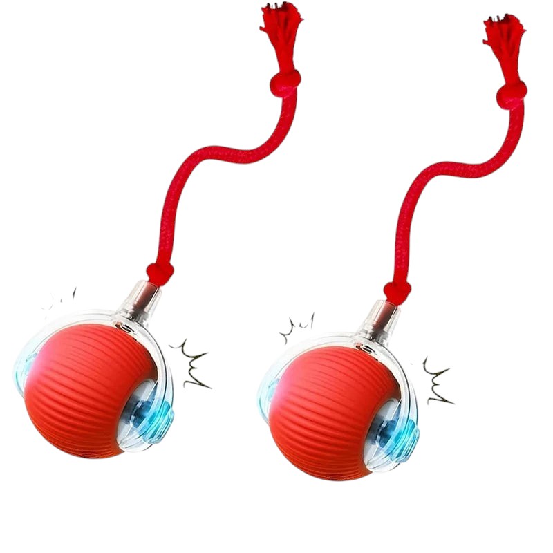 Balle Interactive Automatique pour Chien – Rechargeable, Nouvelle Version 2026