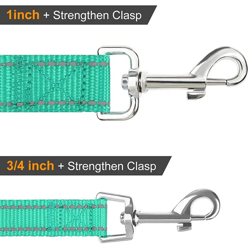 Laisse Réfléchissante pour Chien – Sangle Rembourrée, 12 Couleurs & 3 Longueurs