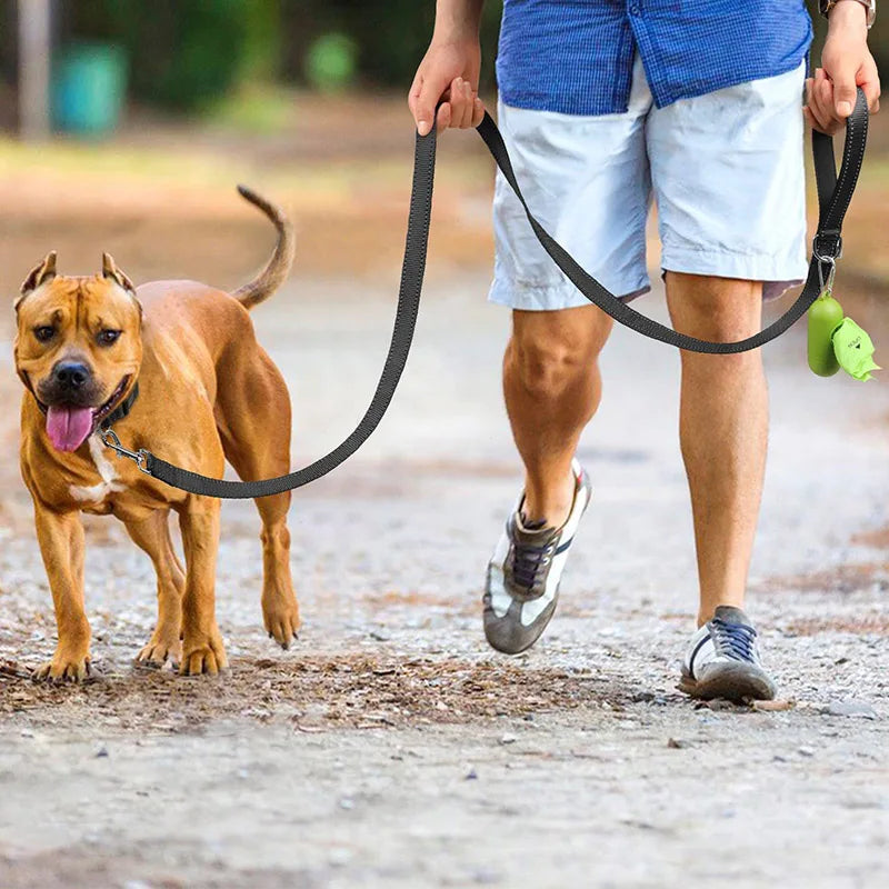 Laisse Réfléchissante pour Chien – Sangle Rembourrée, 12 Couleurs & 3 Longueurs