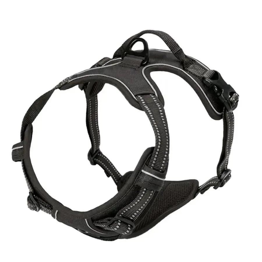 Collier & Harnais Ensemble Complet – Cuir Résistant, Toutes Tailles
