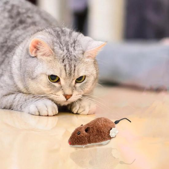 Petify Jouet souris réaliste en peluche marron pour chat, avec longue queue, stimule l'instinct de chasse.
